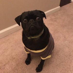 Meet your Posher, Megan